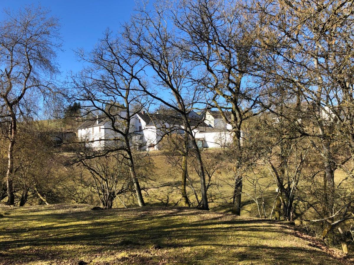 Ferienhaus Rehblick Rockeskyll Экстерьер фото